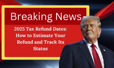 2025 Tax Refund Dates: How to Estimate Your Refund and Track Its Status