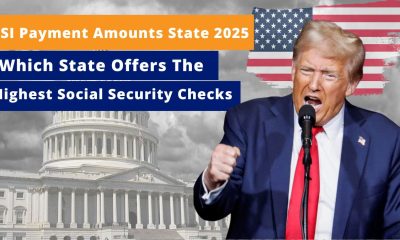 SSI Payment Amounts by State in 2025: Which State Offers the Highest Social Security Checks?