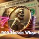 The Lincoln Wheat Penny Worth $265,000 Is Still in Circulation