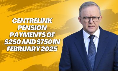 Centrelink Pension Payments Of $250 And $750 In February 2025