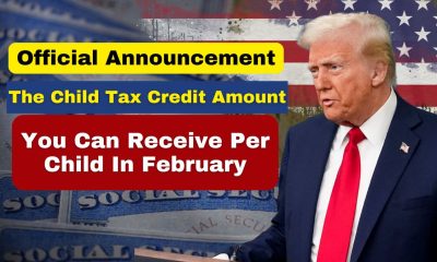 Official Announcement- The Child Tax Credit Amount You Can Receive per Child in February